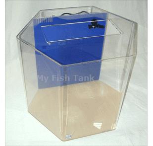 
<p>55UH Hexagon UniQuarium with built-in filter includes pump, light hood or Polycarbonate Light Plate and Limited Lifetime Warranty. NOTE, DUE TO THE COVIC-19 PANDEMIC AND THE GOVERNMENTS PRIORITY TOWARDS FACE MASK PRODUCTION OUR DELIVERY TIME ON ACRYLIC AQUARIUMS
 CAN BE 3 TO 5 WEEKS.</p>
<p>MYFISHTANK.COM offers the UniQuarium™ brand acrylic aquariums with the 3-in-1 filtration system incorporated into the back of the aquarium. These systems combine mechanical, chemical, and biological filtration chambers into a compact area and are the perfect
 choice for both the novice and the seasoned hobbyist preferring a simpler system. Unlike conventional aquarium systems the UniQuarium is very easy to set-up and use. No drilling, no hanging filters or hoses to detract from the beauty of the aquarium.
</p>
<p>The UniQuarium’s larger biological area and high flow Powerhead Pump, included, makes it ideal for saltwater and freshwater set-ups. The UniQuarium’s filter compartment is incorporated into the aquariums overall dimensions. All acrylic material is domestic
 cast, all aquarium seams are chemically bonded together and all tanks incorporate a solid top panel, with cut-outs, for added structural support. All UniQuariums come with your choice of &nbsp;dark blue, or black colored back.
</p>
<p>MYFISHTANK.COM includes into these Clear-For-Life acrylic aquariums an empty black ABS light hood or a clear polycarbonate Light Plate, which serve as covers for the tanks main top opening. You can UPGRADE the lighting to LED Lighting. Substitute the black
 light hood for a clear poly-lid and our Current low profile LED Lighting fixture. Super bright 6500K white and 445nm blue LEDs come together in low voltage, 12V DC, sleek unit making it super safe for aquarium use. This fixture also features independent control
 allowing users to select a range of color modes. Sliding legs allow for a quick and easy installation. See Lighting Options.
</p>
<p>At this time there is no optional Clear-for-Life™ Venturi protein skimmer. </p>

