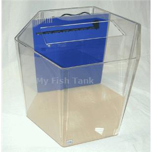 
<p>35 gallon Hexagon <span>Seahorse tank comes complete&nbsp;with built-in filter system, a&nbsp;light hood and a florescent fixture.( bulb not included ) and the Clear For Life Warranty.
</span></p>
<p><span>MYFISHTANK.COM has designed the perfect seahorse tank! We have modified the Clear-For-Life UniQuarium™ brand acrylic aquariums with the 3-in-1 Wet-Dry Trickle filter system incorporated into the back of the aquarium specifically intended for seahorses.
 These systems combine mechanical, chemical, and biological filtration into a compact area and are the perfect choice for both the novice and the seasoned hobbyist preferring a simpler system. Unlike conventional aquarium systems the UniQuarium is very easy
 to set-up and use. No drilling, no hanging filters or hoses to detract from the beauty of the aquarium.
</span></p>
<p><span>We have increased the strength of the submersible Rio brand water pump and added a ball valve to control the water flow, along with a discharge spray bar to diffuse water flow evenly across the tank, and we offer an optional venturi driven protein
 skimmer.&nbsp; Additionally, we have </span><span>included the fluorescent light fixture ( bulb not included ) and the black ABS light hood. You can UPGRADE the lighting to LED Lighting. Substitute the black light hood and florescent fixture for a clear poly-lid
 and a CURRENT brand Satelite low profile LED Lighting fixture. Super bright 6500K white and 445nm blue LEDs come together in low voltage, 12V DC, sleek unit making it super safe for aquarium use. This fixture also features independent control allowing users
 to select a range of color modes. Sliding legs allow for a quick and easy installation. This system also makes adding multiple fixtures a snap, See Lighting Options.</span><span>&nbsp;</span></p>
<p><span>All acrylic material is domestic cast, all aquarium seams are chemically bonded together and all tanks incorporate a solid top panel for added structural support. Skillfully crafted within each top panel are holes for heaters, slots for power filters,
 large openings for access and stylish rounded corners. </span></p>
<p><span>All UniQuariums come with your choice of light blue, dark blue, or black colored back.
</p>
<p>&nbsp;</p>
</span>
<p>&nbsp;</p>

