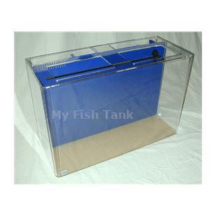 
<p>This&nbsp;55 gallon&nbsp;Rectangular Seahorse tank&nbsp;comes complete&nbsp;with built-in filter system, a&nbsp;light hood and a florescent fixture&nbsp;and the Clear For Life Warranty.
</p>
<p>MYFISHTANK.COM has designed the perfect seahorse tank! We have modified the Clear-For-Life UniQuarium™ brand acrylic aquariums with the 3-in-1 Wet-Dry Trickle filter system incorporated into the back of the aquarium specifically intended for seahorses. These
 systems combine mechanical, chemical, and biological filtration into a compact area and are the perfect choice for both the novice and the seasoned hobbyist preferring a simpler system. Unlike conventional aquarium systems the UniQuarium is very easy to set-up
 and use. No drilling, no hanging filters or hoses to detract from the beauty of the aquarium.
</p>
<p>We have increased the strength of the submersible Rio brand water pump and added a ball valve to control the water flow, along with a discharge spray bar to diffuse water flow evenly across the tank, and we offer an optional venturi driven protein skimmer.&nbsp;
 Additionally, we have included the fluorescent light fixture ( bulb not included ) and the black ABS light hood. You can UPGRADE the lighting to LED Lighting. Substitute the black light hood and florescent fixture for a clear poly-lid and a CURRENT brand Satelite
 low profile LED Lighting fixture. Super bright 6500K white and 445nm blue LEDs come together in low voltage, 12V DC, sleek unit making it super safe for aquarium use. This fixture also features independent control allowing users to select a range of color
 modes. Sliding legs allow for a quick and easy installation. This system also makes adding multiple fixtures a snap, See Lighting Options.</p>
<p>All acrylic material is domestic cast, all aquarium seams are chemically bonded together and all tanks incorporate a solid top panel for added structural support. Skillfully crafted within each top panel are holes for heaters, slots for power filters, large
 openings for access and stylish rounded corners. </p>
<p>All UniQuariums come with your choice of light blue, dark blue, or black colored back.
</p>
